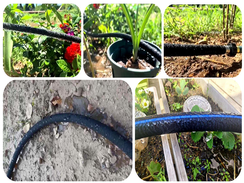 تطبيق أنبوب الري تسرب نانو في الري الرملي