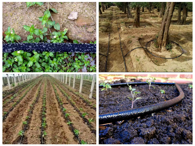 ما هي آفاق السوق لأنابيب الري المطاطية النانوية؟