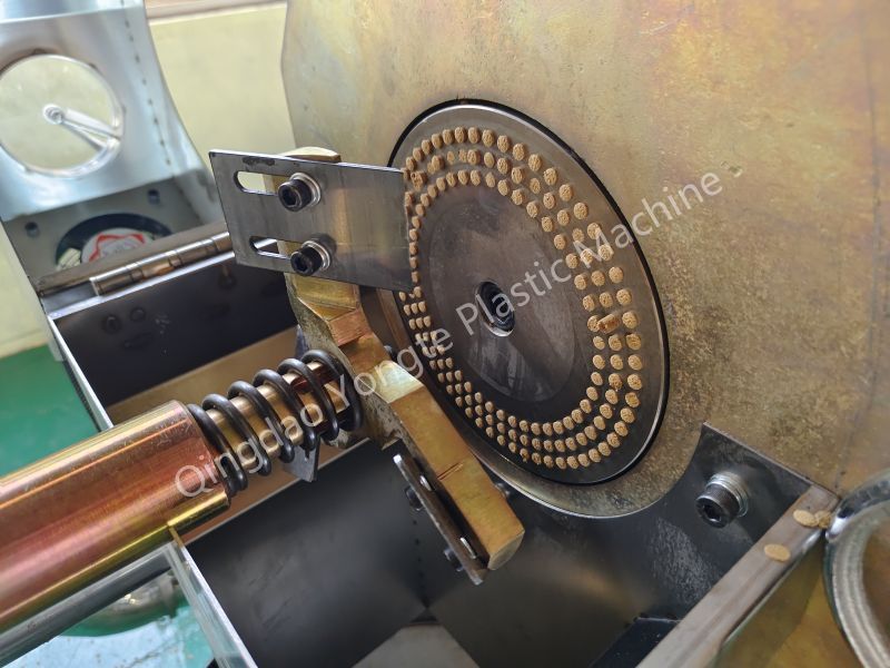 hot pelletizing die head